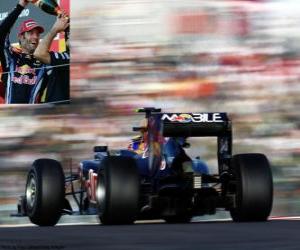 Puzzle Mark Webber - Red Bull - Suzuka 2010 (2 Μικρές º)